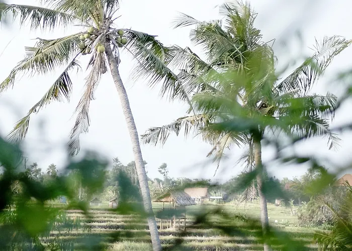 Resort Planta Boutique Canggu
