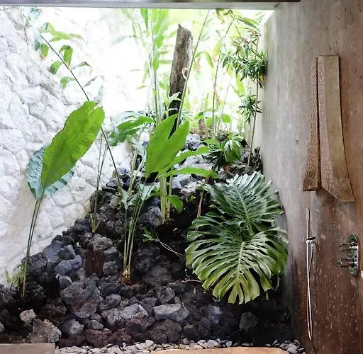リゾート Planta Boutique 4*